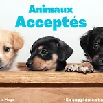 Lumineux Proche De La Pour 5 Pers - Fr-1-323-312 Saint-Jean-de-Monts