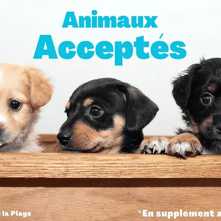 5 Pers A Saint-jean-de-monts, Vue Mer, Animaux Admis - Fr-1-323-312 Saint-Jean-de-Monts
