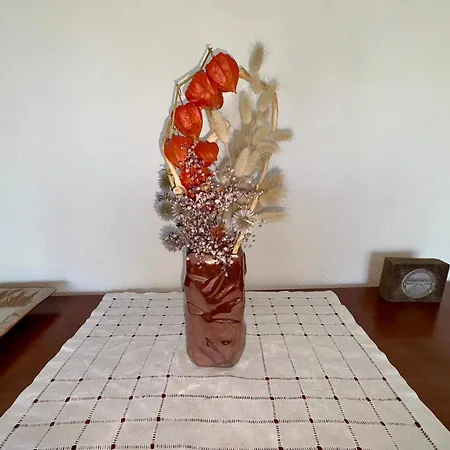 Lumineux Proche De La Pour 5 Pers - Fr-1-323-312 아파트 *