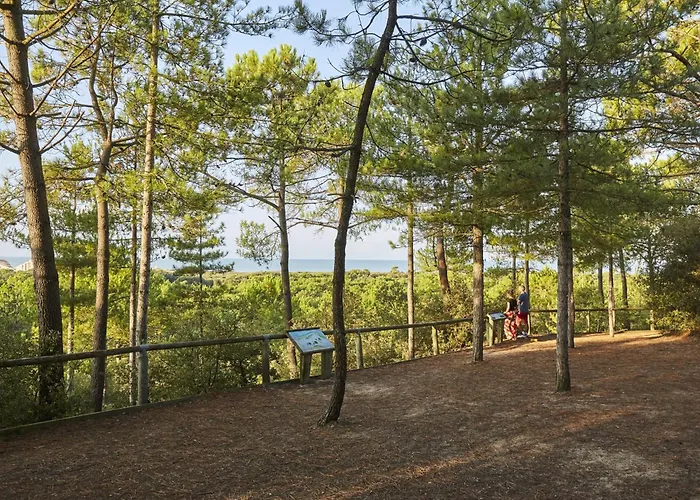 Lumineux Proche De La Pour 5 Pers - Fr-1-323-312 *